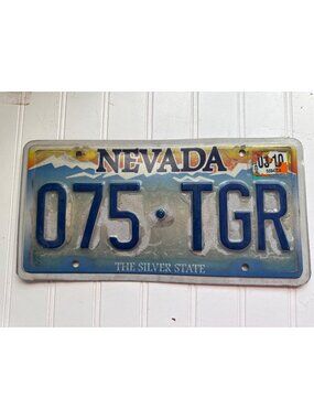 2010 Nevada License Plate 075 TGR Silver State Road Worn Auto Tag